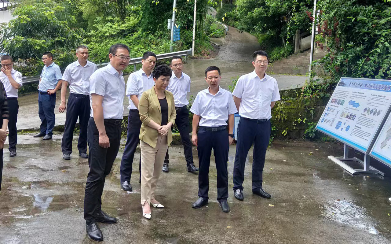 达州市副市长市级副林长唐志坤到开江调研林长制工作